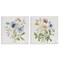 Stupell Industries Wild Flower Botanical Bundles 2pc Canvas Set, design by Nicole DeCamp